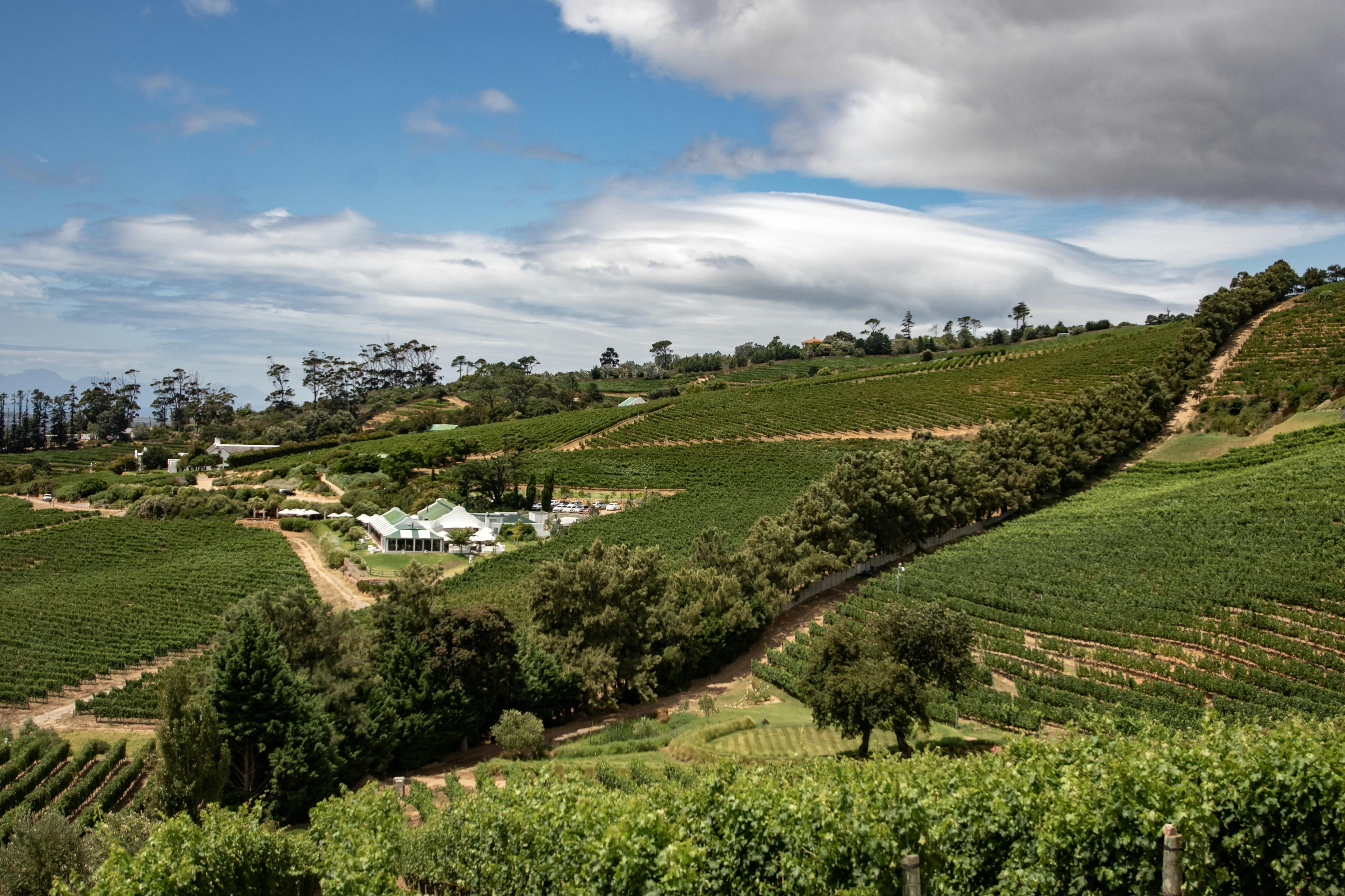 Lush green vineyard rows stretch across rolling hills under a dramatic, cloudy blue sky.